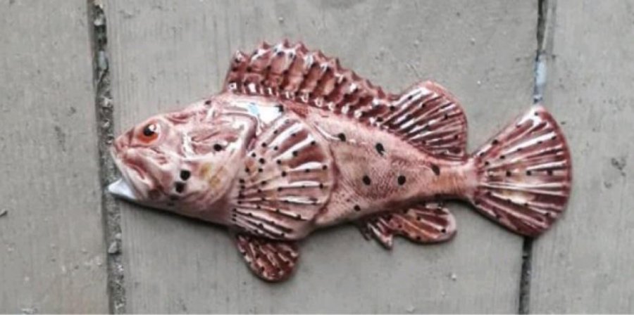 Морской ёрш (скорпена)
