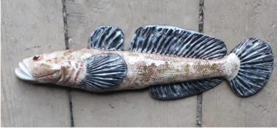Морской бычок