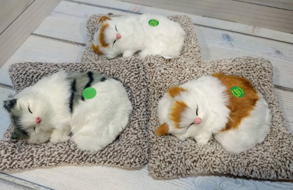 Кошка на подушке №1