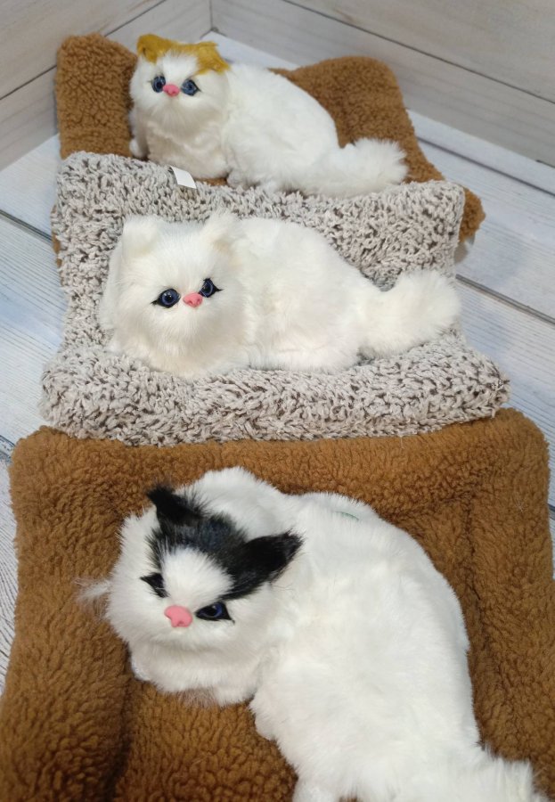 Кошка на подушке №4