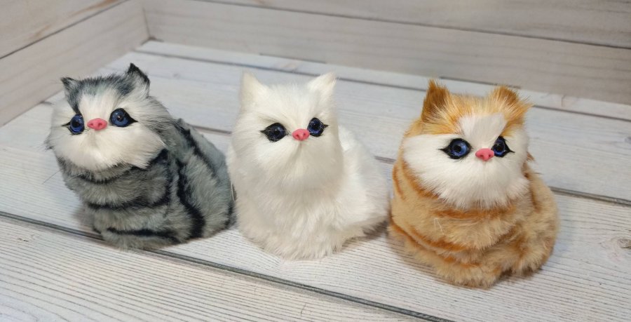 Кошка №1