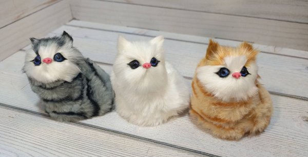 Кошка №1