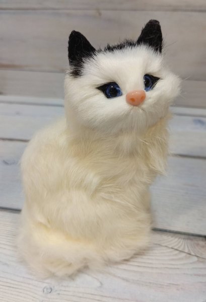 Кошка №4