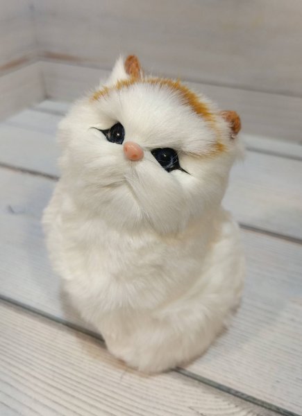 Кошка №5