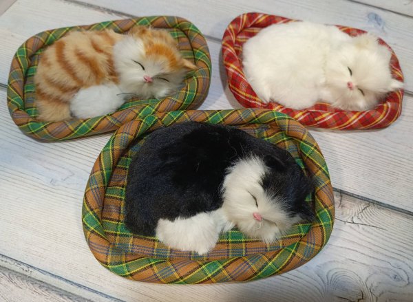 Кошка в корзинке